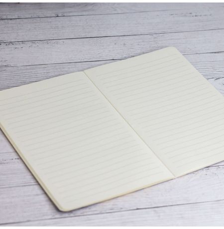 Тетрадь Инопланетяне изображение 2