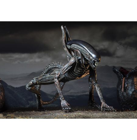 Фигурка Чужой: Завет - Ксеноморф (Alien Covenant Xenomorph) Neca изображение 2