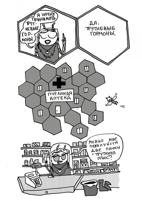 Соты изображение 4