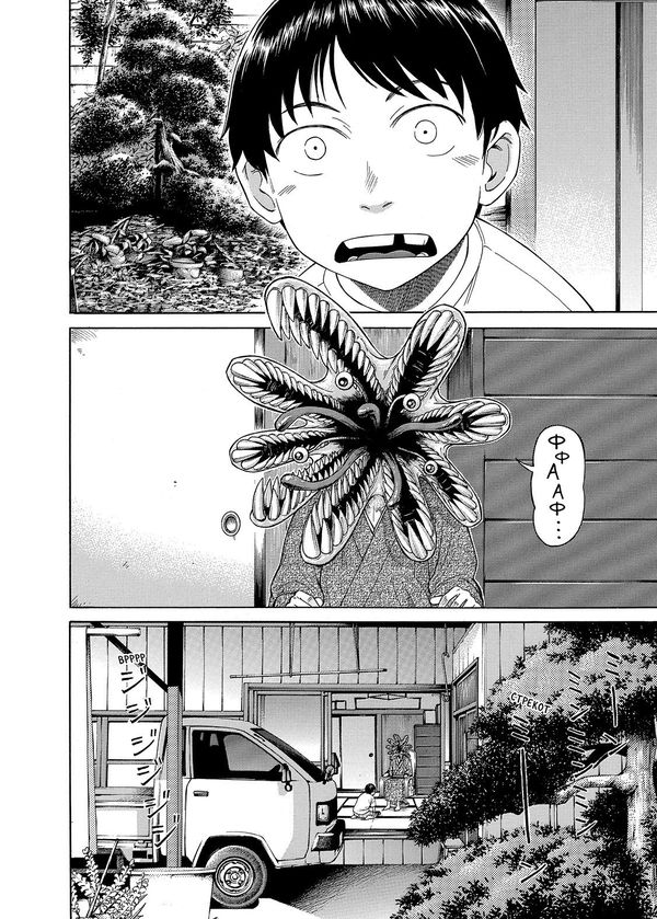 Неопаразит m изображение 3