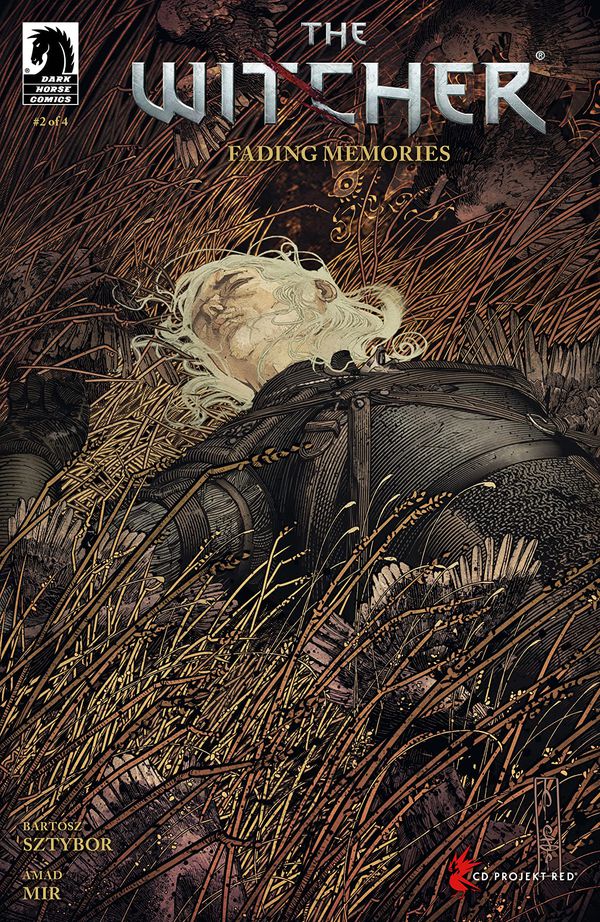 Witcher Fading Memories #2A by Evan Cagle