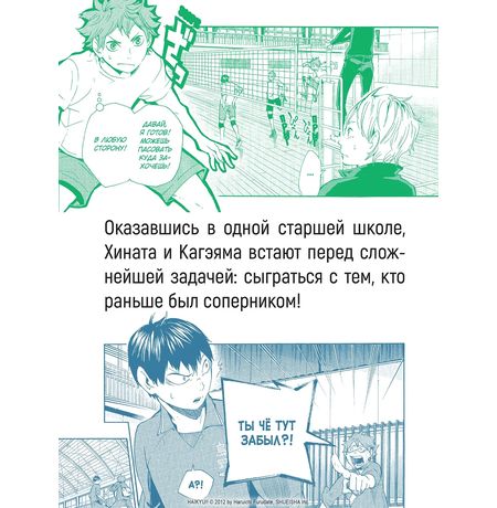 Волейбол! Том 1. Хината и Кагэяма. Вид с высоты изображение 7