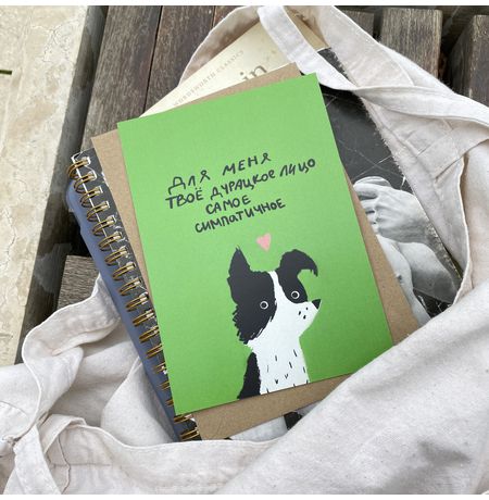 Открытка Пес - Твое дурацкое лицо изображение 3