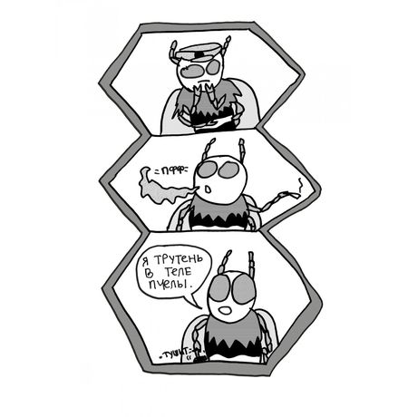 Соты изображение 2