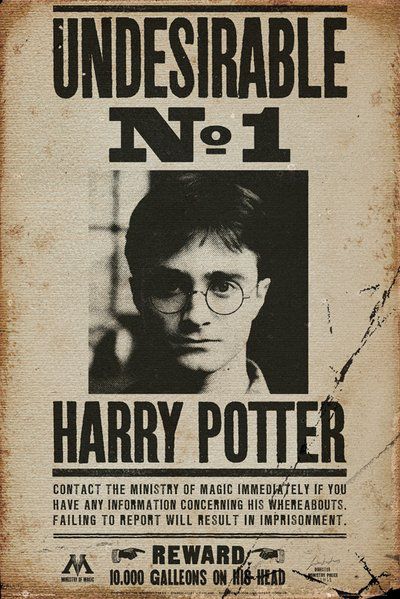 Постер Гарри Поттер - Нежелательное лицо №1 (Harry Potter Undesirable No 1)