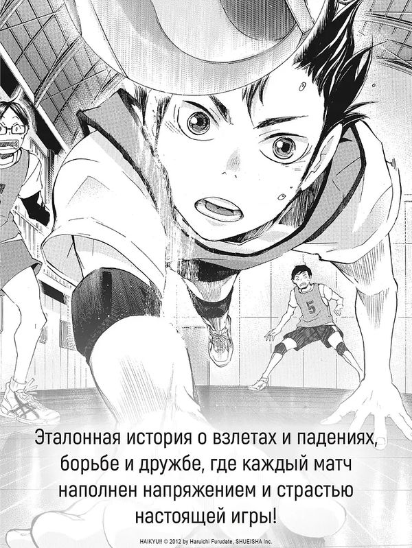 Волейбол! Том 2. Вперед, команда «Карасуно»! Соперники изображение 3