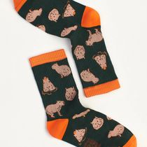 Носки SUPER SOCKS Капибара (размер 40-45)