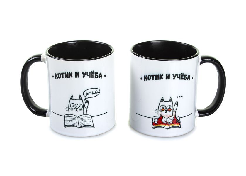 Кружка Котик и учеба