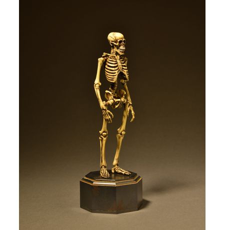 Фигурка Окимоно - Скелет (Takeyashiki Jizai Okimono Skeleton) 15 см изображение 3