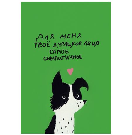 Открытка Пес - Твое дурацкое лицо