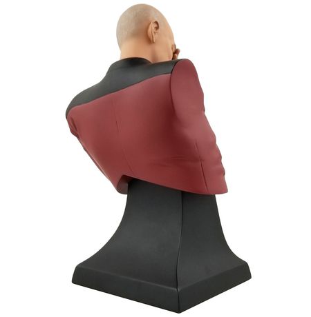 Фигурка Star Trek - Пикар Facepalm Эксклюзив (Star Trek - Picard Facepalm SDCC 2020) изображение 3