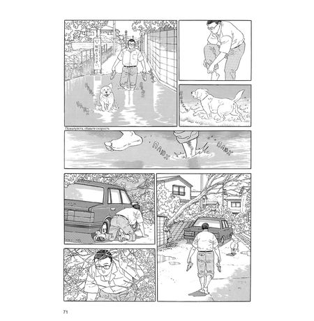 Прогулки изображение 2