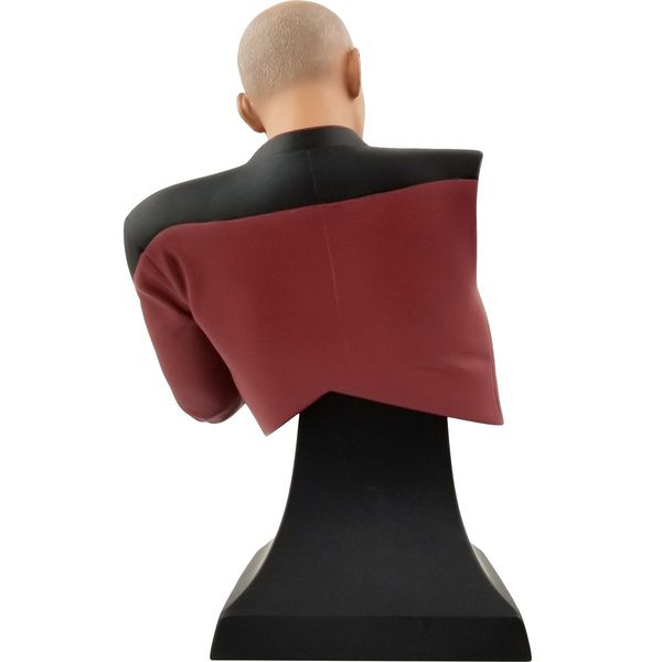 Фигурка Star Trek - Пикар Facepalm Эксклюзив (Star Trek - Picard Facepalm SDCC 2020) изображение 4