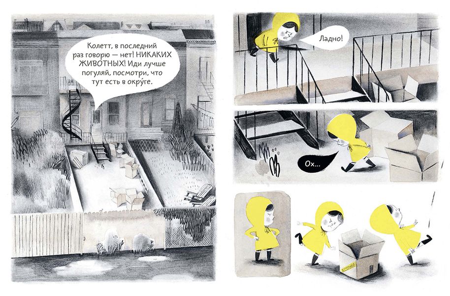 Попугай Колетт изображение 2