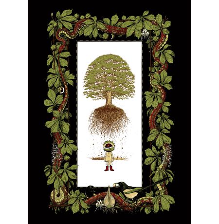 Нао Браун (твердый переплет) изображение 2