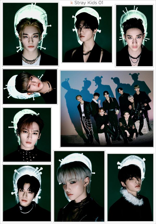 Набор стикеров Stray Kids (E&L Print Work)