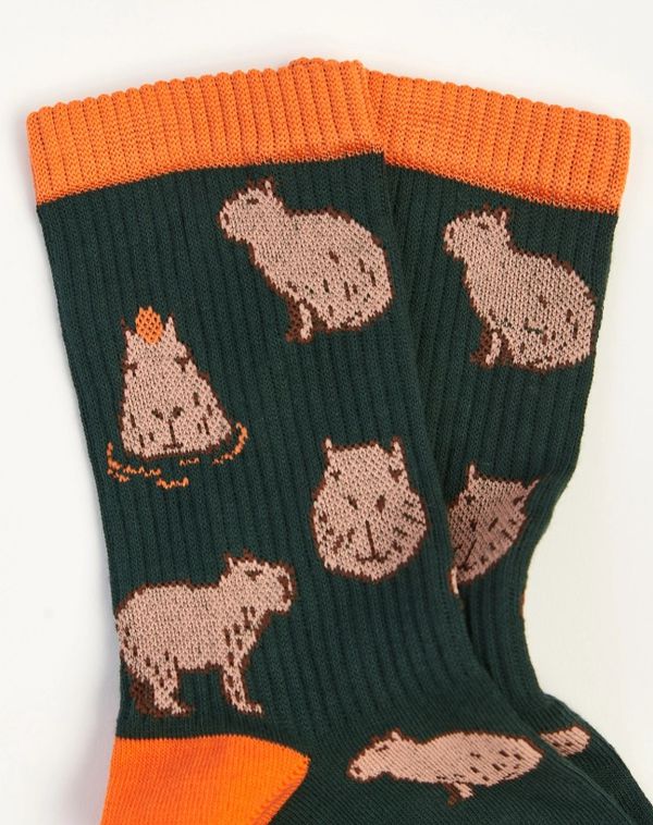 Носки SUPER SOCKS Капибара (размер 40-45) изображение 2