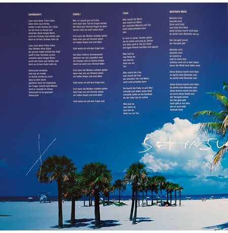 Виниловая пластинка Rammstein –  Sehnsucht 2LP, RM 180 gr изображение 2