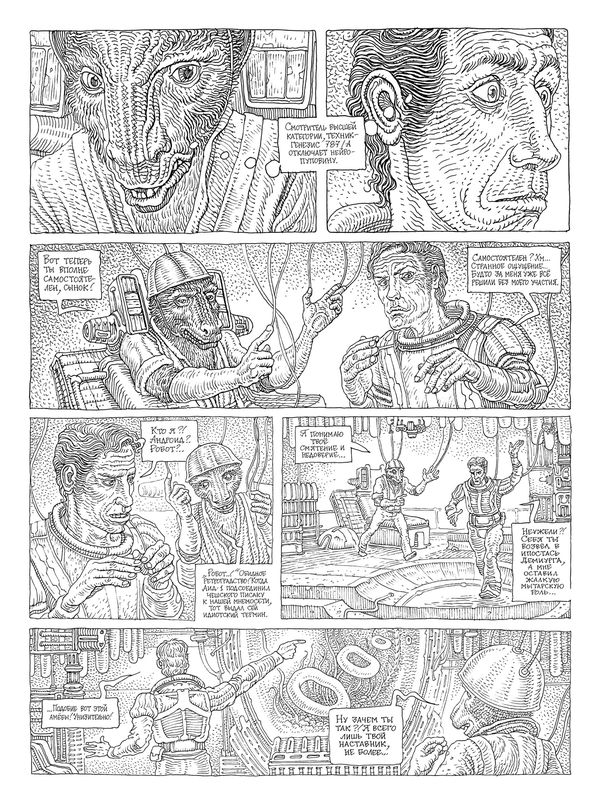 Заплаточники изображение 3