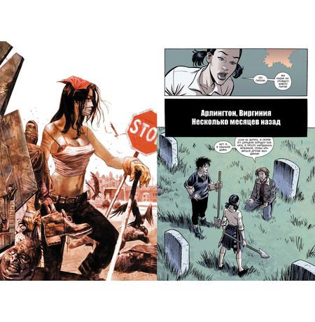 Y: Последний мужчина. Книга 5 изображение 2