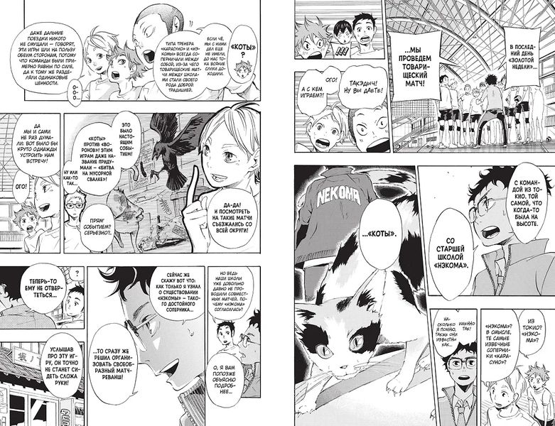 Волейбол! Том 2. Вперед, команда «Карасуно»! Соперники изображение 7