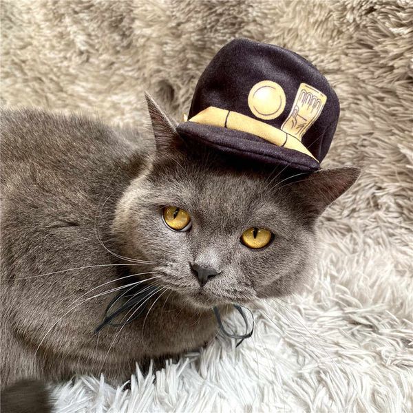 Кепка для кота ДжоДжо (JoJo’s Bizarre Adventure) изображение 2