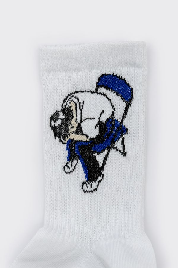 Носки SUPER SOCKS Евангелион Синдзи (размер 40-45)