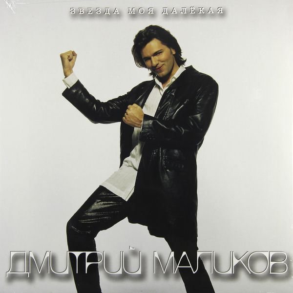 Виниловая пластинка 