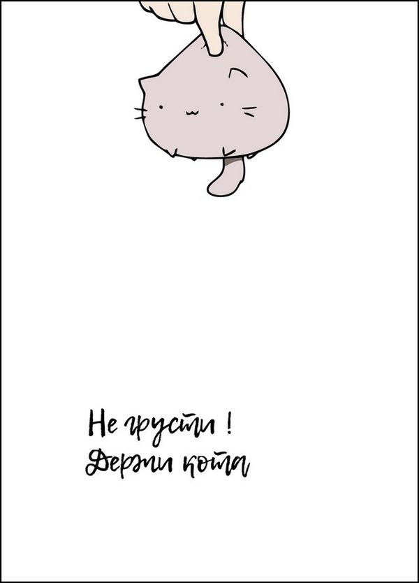 Открытка Держи Кота