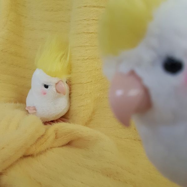 Игрушка Заводной попугай изображение 2