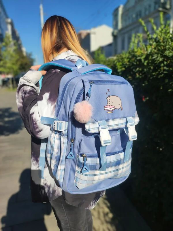 Рюкзак Кот Пушин (Pusheen Cat) голубой 45х30х13 см изображение 2