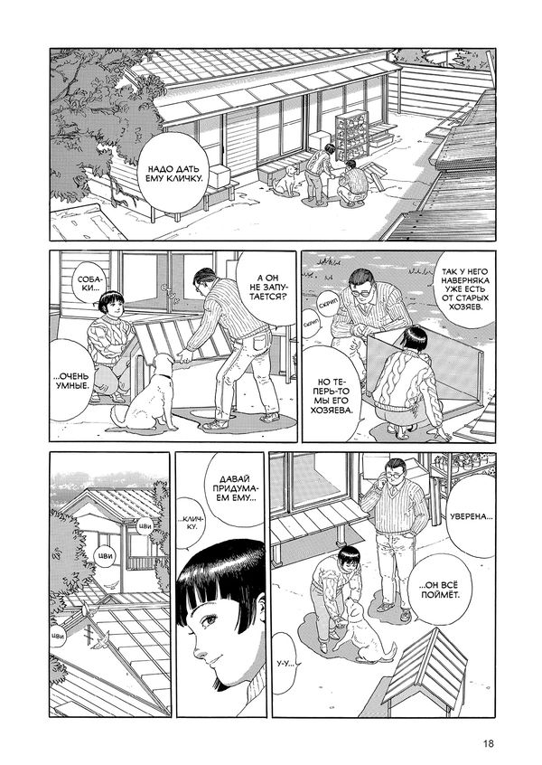 Прогулки изображение 4