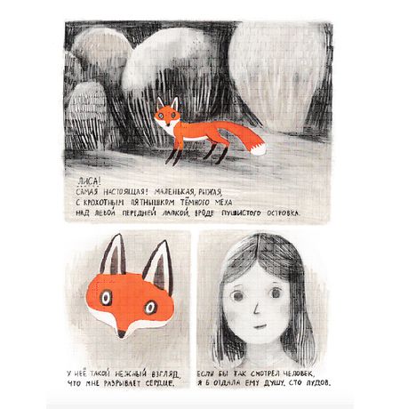 Джейн, лиса и Я изображение 2