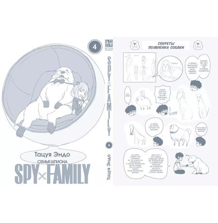 SPYxFAMILY: Семья шпиона. Том 4 изображение 2