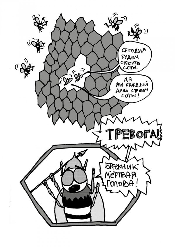 Соты изображение 3