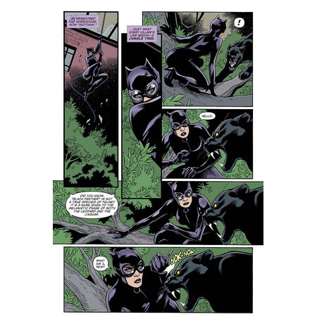 Catwoman 80th Anniversary 100 Page Super Spectacular изображение 3