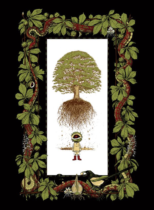 Нао Браун (твердый переплет) изображение 2