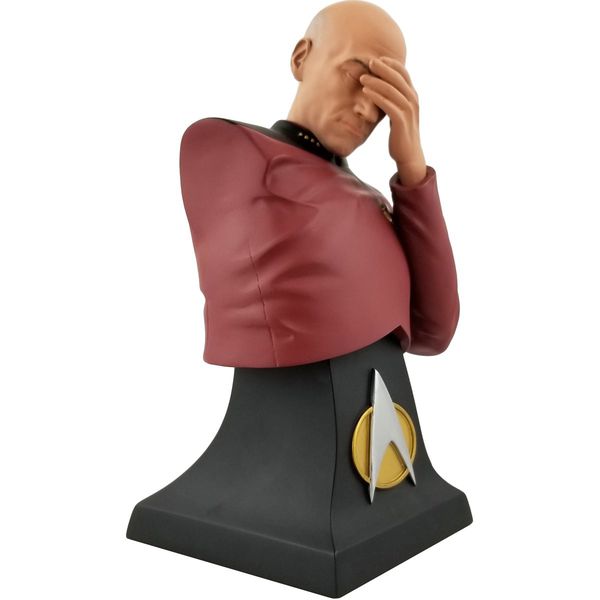 Фигурка Star Trek - Пикар Facepalm Эксклюзив (Star Trek - Picard Facepalm SDCC 2020)
