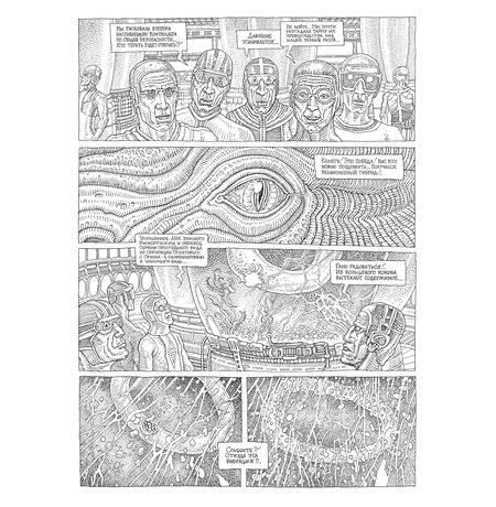 Заплаточники изображение 5