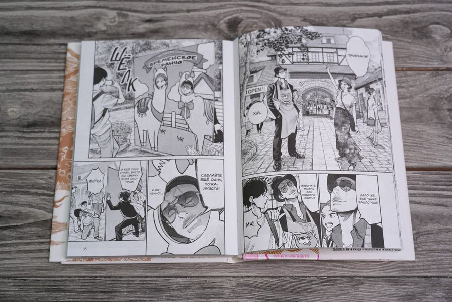 Путь домохозяина. Том 4 изображение 4