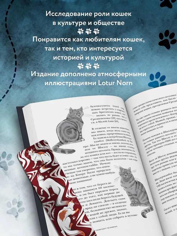 Котики в мировой культуре. Как котики проникли не только в наши дома и сердца изображение 4