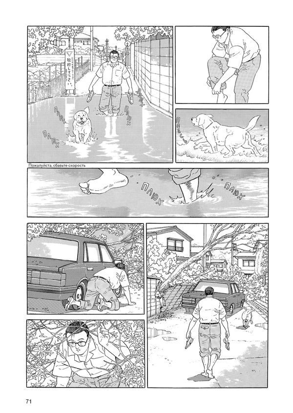 Прогулки изображение 2