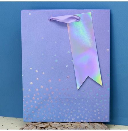 Пакет с блестками Sequins 23х18х10 см изображение 2