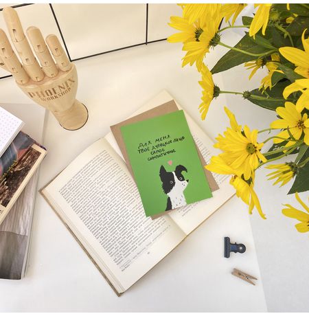 Открытка Пес - Твое дурацкое лицо изображение 4