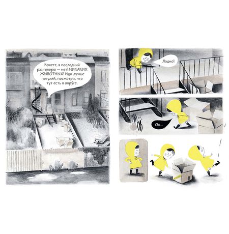 Попугай Колетт изображение 2