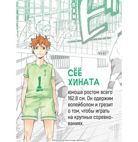 Волейбол! Том 1. Хината и Кагэяма. Вид с высоты изображение 5