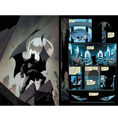 Бэтмен. Книга 8. Расцвет изображение 2