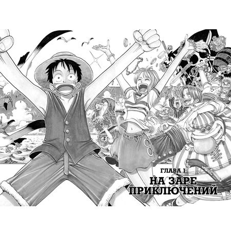 One Piece. Том 1 УЦЕНКА изображение 2