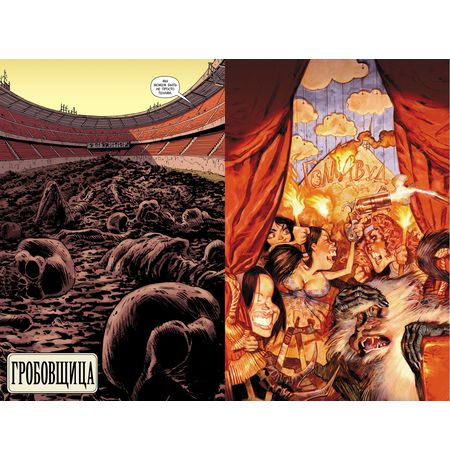 Y: Последний мужчина. Книга 5 изображение 3