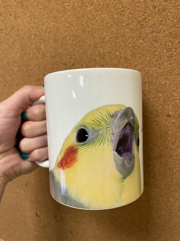 Кружка Попугай кричит УЦЕНКА изображение 2